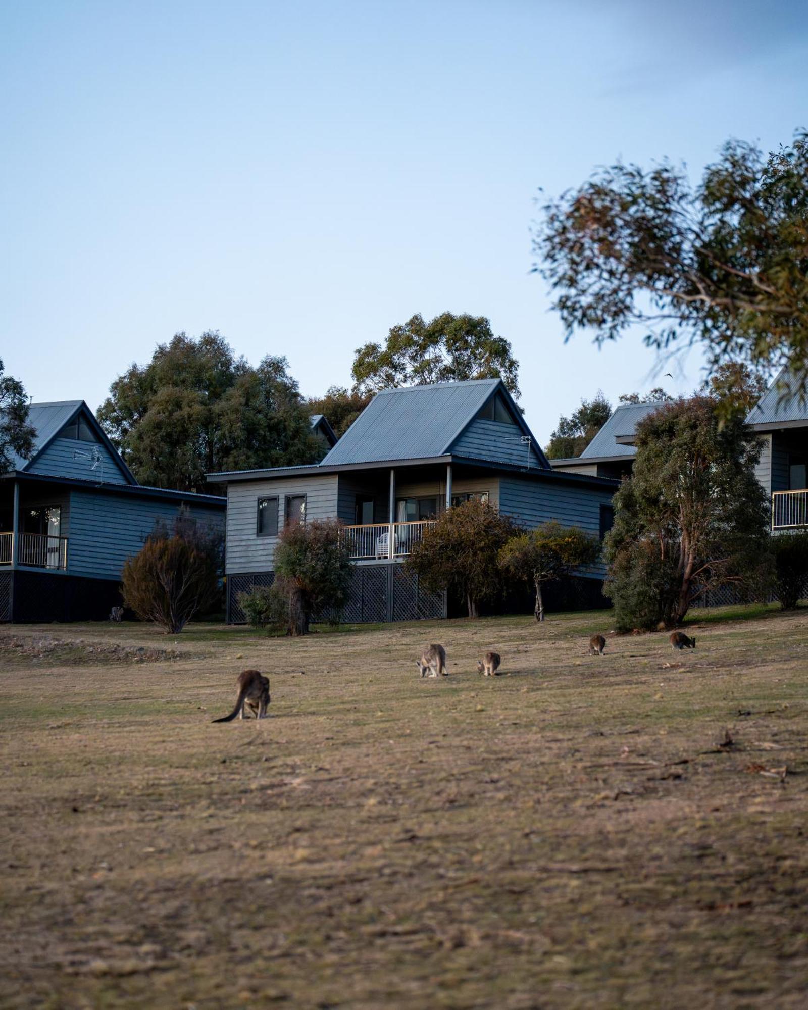 Adventist Alpine Village Jindabyne Exteriér fotografie